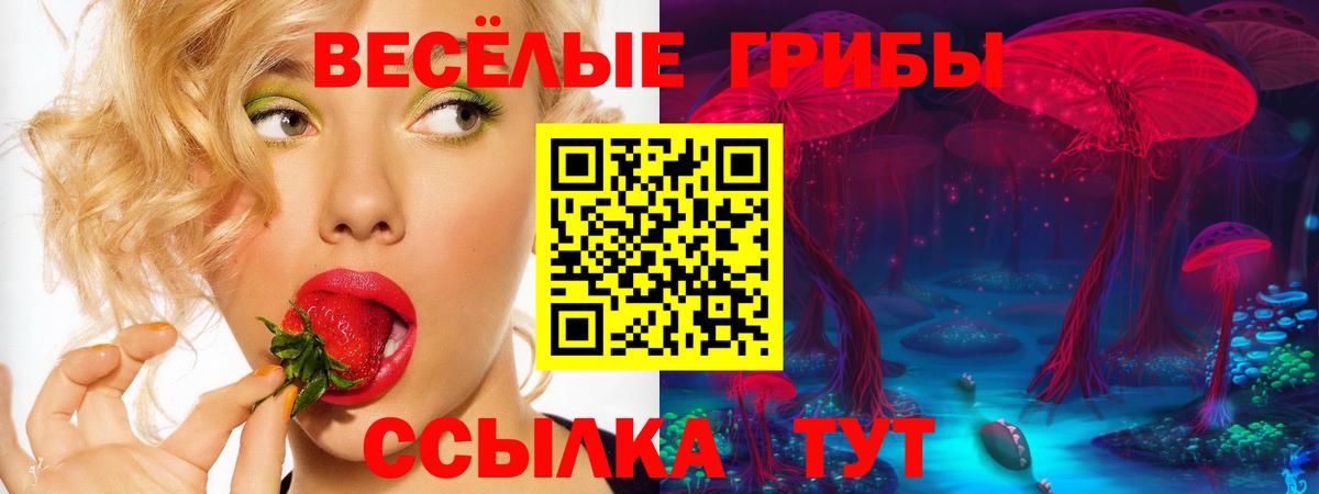 Галлюциногенные грибы Psilocybine cubensis Подольск